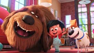 ‘Secret Life of Pets 2’ Headed to No. 1 as ‘Dark Phoenix’ Flames Out at Box Office