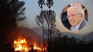 Irving Azoff is raising funds via the FireAid Benefit Concert for wildfire relief efforts in Los Angeles (Credit: Getty Images)