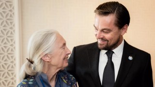 Leonardo DiCaprio Pays Tribute to Late Conservationist Jane Goodall: ‘You Are My Hero’