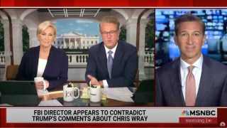 ‘Morning Joe’ Blasts Trump’s Investigations That Make Republicans ‘Look Dumber and Dumber’ | Video