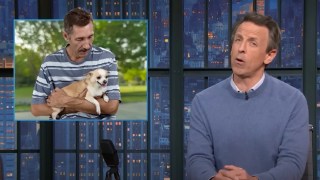 Seth Meyers Questions Why GOP Talks About Trump Like a ‘Dog Owner Talks About a Growling Chihuahua’ | Video